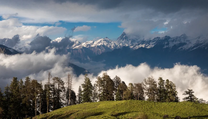 Uttarakhand Tour Packages