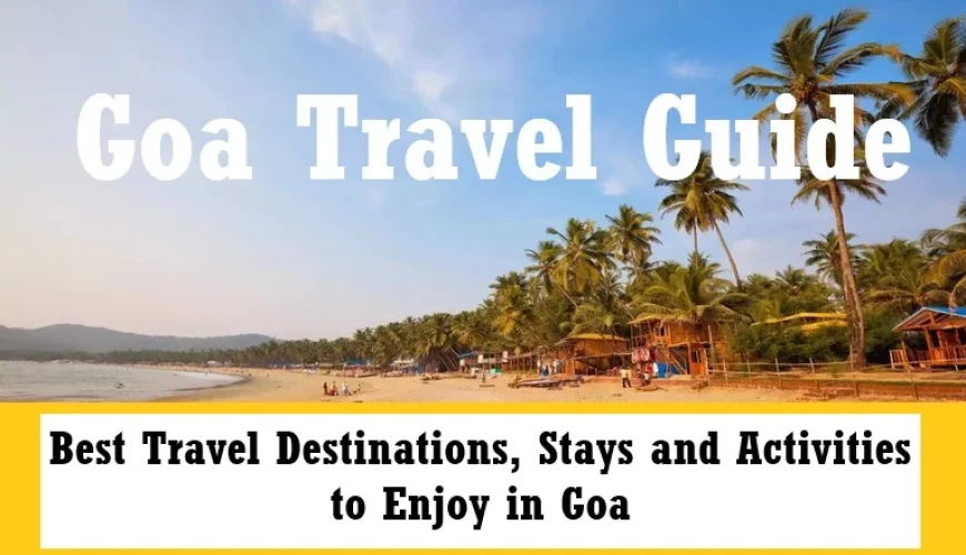 goa everything you need to know for a perfect trip