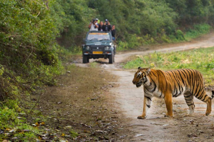 Jim Corbett