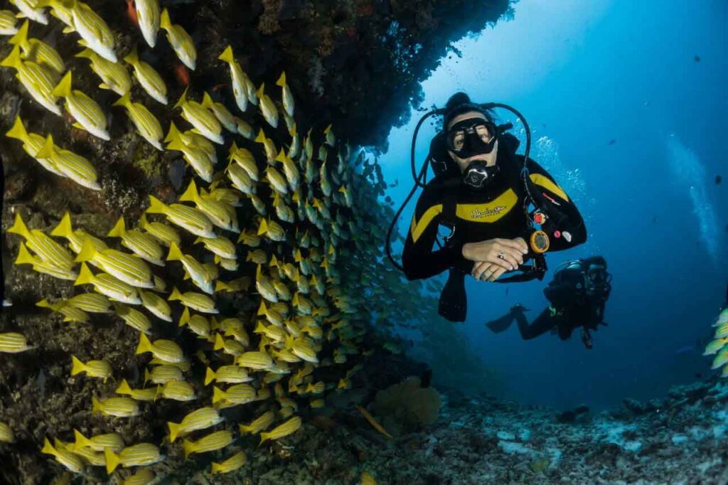 scuba diving in the andamans